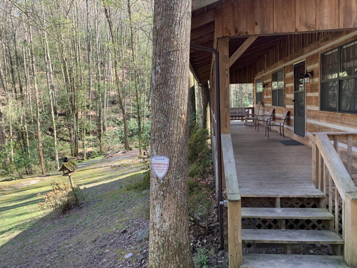 Little Mountain Hideaway Cabin بيدجن فورج المظهر الخارجي الصورة